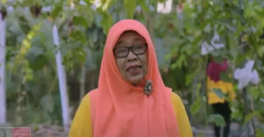 Kisah Ibu-ibu di Bantul Bikin Kampung Anggur, Panen Tiap Hari!