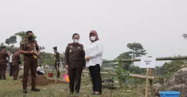 Dikenal Gersang, 5 Ribu Bibit Pohon Ditanam di Prambanan Sleman