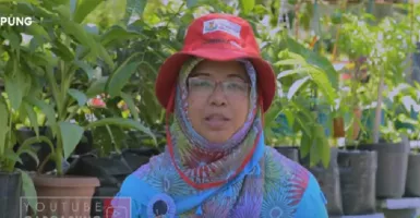 Keren! Kampung Padat di Kota Yogyakarta Disulap Jadi Kebun Sayur