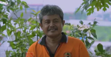 Inspiratif! Atap Rumah Pria di Yogyakarta Ini Jadi Kebun Cabai