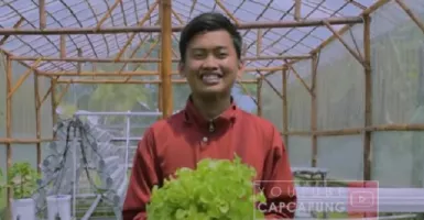 Keren! Mahasiswa di Yogyakarta Ini Sukses Jadi Petani Hidroponik