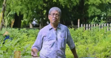 Kisah Warga di Purbayan Yogyakarta, Berhasil Bikin Lumbung Pangan