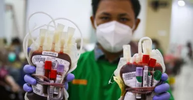 Stok Darah di PMI Yogyakarta Menurun saat Ramadan