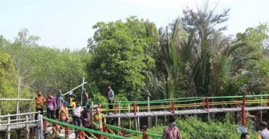 Pemkab Kulon Progo Janjikan Pengembangan Wisata Mangrove