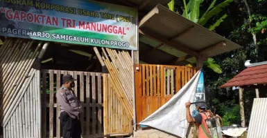 Temuan Penyakit PMK di Kulon Progo, 1 Desa Dilokalisir