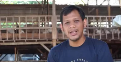 Kisah Sukses Pria di Yogyakarta, Ternak Seribu Domba