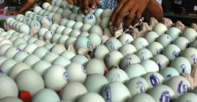 3 Risiko Kebanyakan Makan Telur Asin bagi Kesehatan, Bahaya