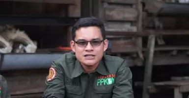Strategi PPKDY Cukupi Pakan Peternak Kambing Yogyakarta