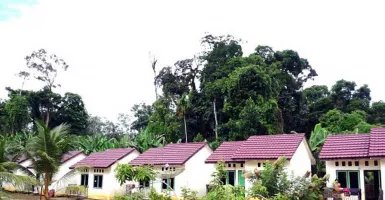 Cek! Rumah Dijual Murah Harga Kisaran Rp 190 juta di Yogyakarta