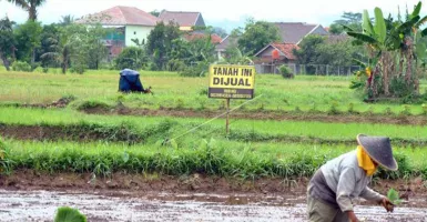 Ratusan Hektare Lahan Pertanian di Kulon Progo Alih Fungsi