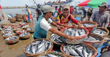 Yogyakarta Patok Target 7 Ribu Ton Produksi Ikan pada 2023