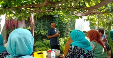 Mudahkan Pemasaran Produk, Begini Strategi Petani di Kota Yogyakarta