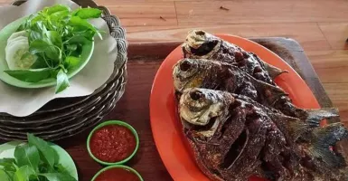 Resto Pemancingan Pinggir Desa Yogyakarta, Ada Menu Mangut!