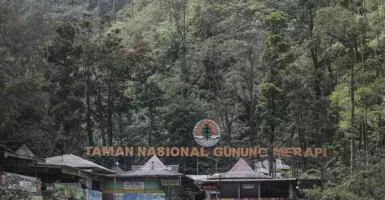 TNGM Tingkatkan Pemantauan Waspadai Kebakaran Hutan Gunung Merapi