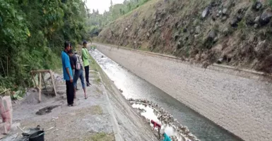 1.000 Ha Sawah di Kulon Progo Terselamatkan Setelah Irigasi Kalibawang Aktif