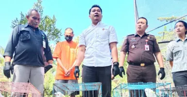 Polresta Yogyakarta Bongkar Kasus Penjualan Satwa Dilindungi