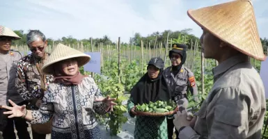 Tanah Kas Desa di Sleman Dioptimalkan untuk Kesejahteraan Petani