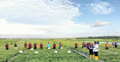 Petani di Kulon Progo Terapkan Sistem Hemat Air untuk Atasi Dampak El Nino