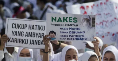 2.988 Tenaga Honorer di Yogyakarta Berpeluang Kontraknya Diperpanjang