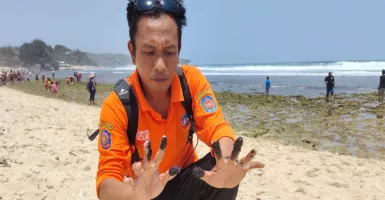 Pantai Krakal dan Slili Gunungkidul Diduga Tercemar Limbah, Rumput Laut Jadi Hitam