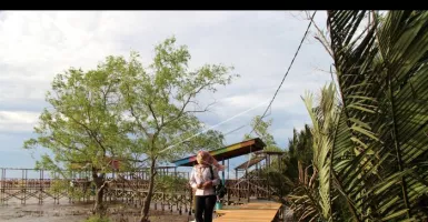 Belajar dan Pelesiran di Destinasi Wisata Mangrove Sungai Kupah