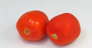 3 Manfaat Tomat untuk Wajah yang Wajib Diketahui