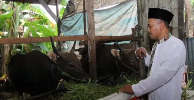 Warga Khawatir PMK, Penjualan Daging di Pontianak Nyungsep