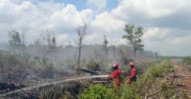 3,5 Hektare Lahan di Singkawang Terbakar, Masih Banyak Hotspot