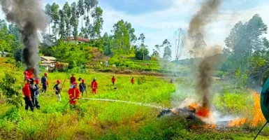 Perusahaan Sawit Komitmen Bantu Pemerintah Tangani Karhutla