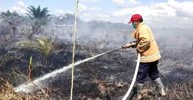 Karhutla di 2 Desa, BPBD Ketapang: Kebakaran Disengaja