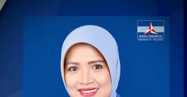 Profil Ermin Elviani, Ketua DPD Partai Demokrat Kalbar