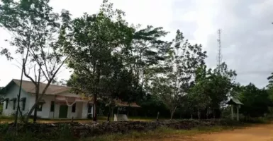 Momen HUT RI, Desa Labai Hilir Berjuang Dapatkan Listrik PLN