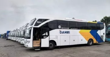 5 Unit Bus Damri Layani Rute Pontianak-Kuching, Berikut Jam Operasionalnya