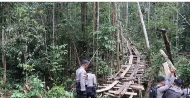 Cegah Pembalakan Hutan Lindung, Polres Bengkayang Gencarkan Patroli