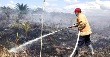 Lahan Terbakar di Kota Pontianak Tidak Boleh Digunakan Selama 5 Tahun