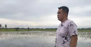 Terendam Banjir, 500 Hektare Lahan Pertanian di Singkawang Rusak