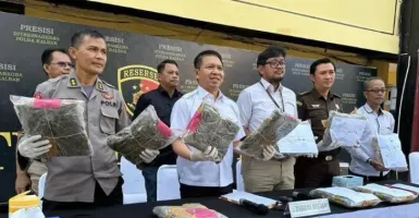 Beli Ganja 9,1 Kg dari Medan, 2 Pengedar Ditangkap oleh Polda Kalbar-Bea Cukai