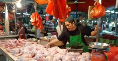 Pasca Lebaran, Harga Daging Ayam di Kota Pontianak Turun