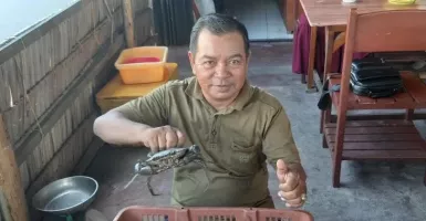 Upayakan Keberlanjutan, Pelaku Usaha Budi Daya Pembesaran Kepiting di Kubu
