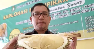 Pengembangan Durian Unggul Lokal Jadi Komitmen Dinas TPH Kalbar