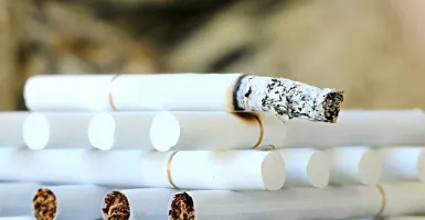Kanwil DJBC Sebut 1,8 Juta Batang Rokok Ilegal Dijual di Kalbar