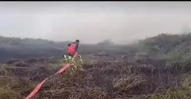 Kebakaran Lahan di Kubu Raya, Ketersediaan Air Jadi Kendala Pemadaman Api