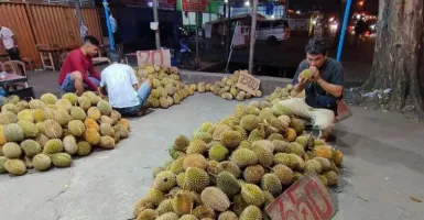 September hingga Oktober 2023, Kalbar Masuki Puncak Musim Buah Durian