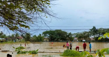 290 KK di Samarinda yang Terdampak Diminta Waspada Banjir Susulan
