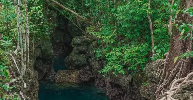 Healing dengan Mengunjungi Gua Haji Mangku, Surga di Maratua