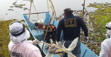 Temuan Sebuah Karung Mengambang di Danau Gegerkan Warga Samarinda