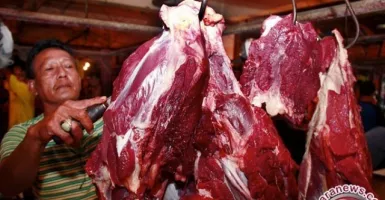 Cek Harga Daging Sapi Hari Ini di Penajam Paser Utara, Stabil