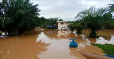 Gawat, Warga Korban Banjir di Sangatta Diingatkan soal Buaya