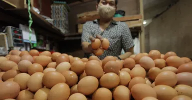 Terus Naik, Harga Telur Ayam di Kaltim Tembus Sebegini Bu