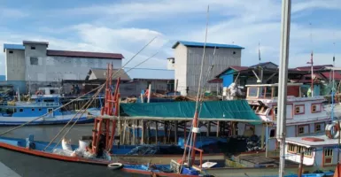 Nasib Nelayan di Kaltim, Penghasilan Menurun Imbas BBM Naik